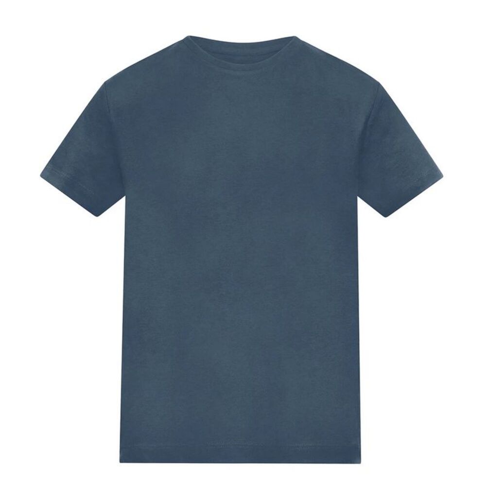 Awdis Childrens/Kids Plain T-Shirt / Airforce Blue